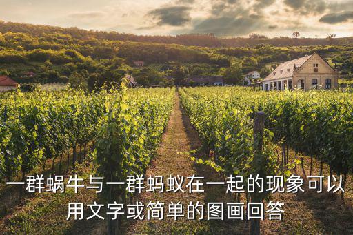 一群蝸牛與一群螞蟻在一起的現象可以用文字或簡單的圖畫回答