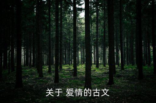 關于 愛情的古文