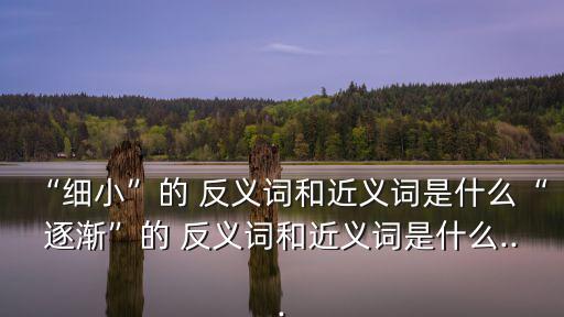 “細(xì)小”的 反義詞和近義詞是什么“逐漸”的 反義詞和近義詞是什么...
