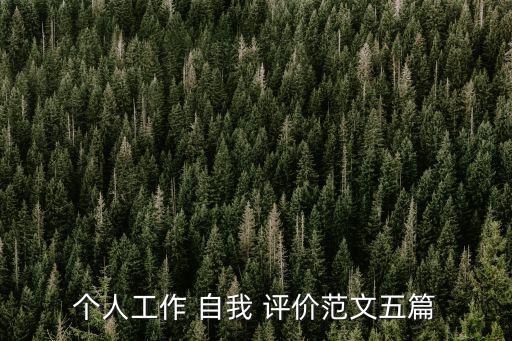 個人工作 自我 評價范文五篇