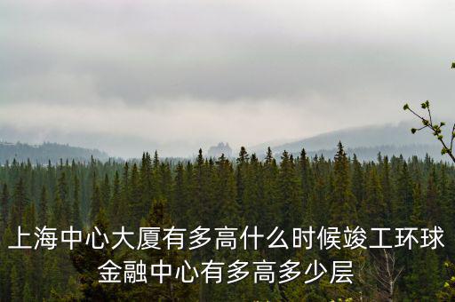 上海中心大廈總投資多少億美元，第一高樓上海中心何時開建