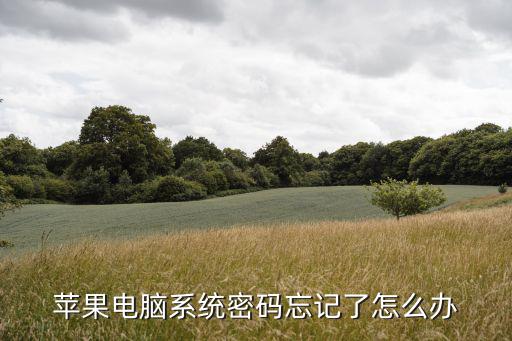 蘋果電腦系統密碼忘記了怎么辦