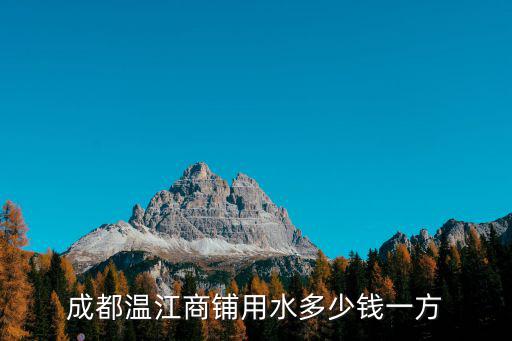 成都溫江商鋪用水多少錢一方