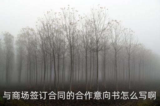 與商場簽訂合同的合作意向書怎么寫啊