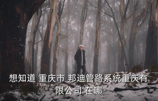 重慶市D錦鑄造有限公司，重慶地區有哪幾家大型的鍛壓公司