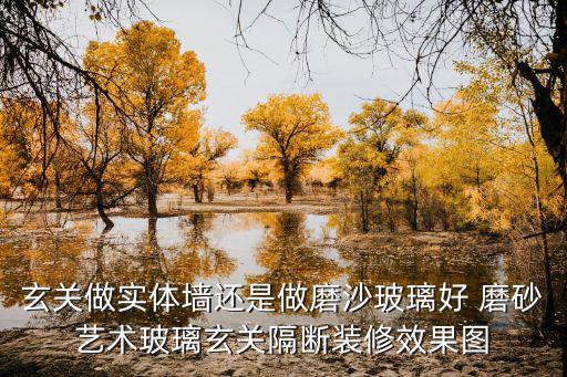 玄關做實體墻還是做磨沙玻璃好 磨砂藝術玻璃玄關隔斷裝修效果圖