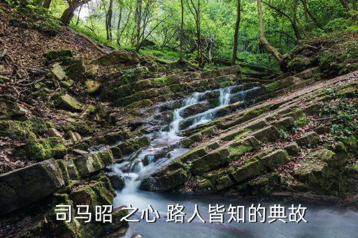  司馬昭 之心 路人皆知的典故