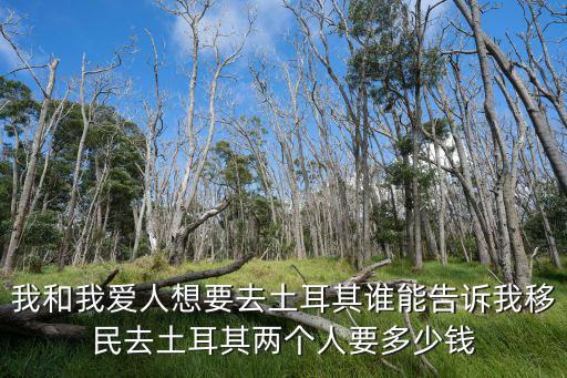 我和我愛人想要去土耳其誰能告訴我移民去土耳其兩個人要多少錢