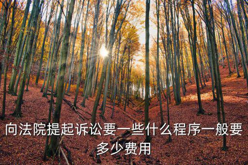 打官司流程及費用，向法院提起訴訟要一些什么程序一般要多少費用