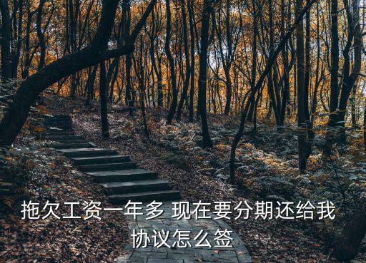 拖欠工資一年多 現在要分期還給我 協議怎么簽