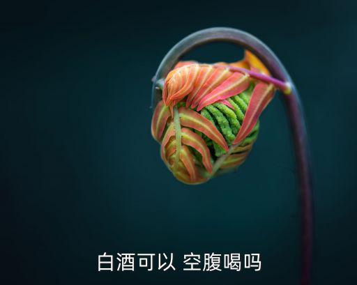 白酒可以 空腹喝嗎