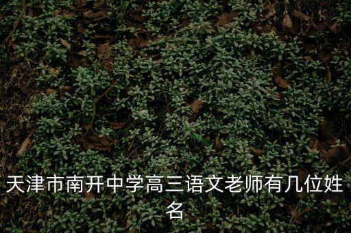 天津市南開中學高三語文老師有幾位姓名