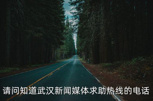 請問知道武漢新聞媒體求助熱線的電話