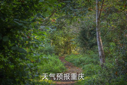 重慶市忠縣未來(lái)15天天氣預(yù)報(bào)，忠縣周末天氣預(yù)報(bào)