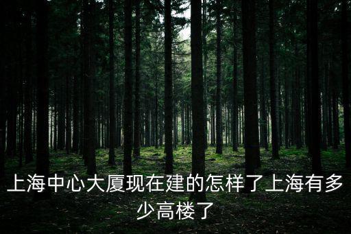 上海中心大廈現在建的怎樣了上海有多少高樓了