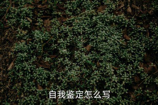 自我鑒定怎么寫