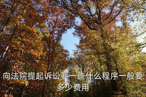 向法院提起訴訟要一些什么程序一般要多少費用