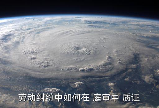 勞動糾紛中如何在 庭審中 質證