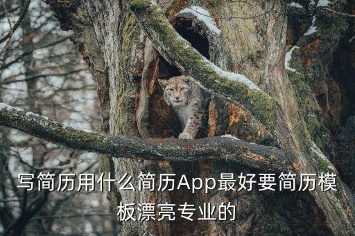 寫簡歷用什么簡歷App最好要簡歷模板漂亮專業的
