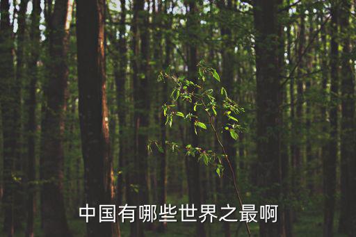 中國有哪些世界之最啊