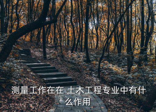  測量工作在在 土木工程專業中有什么作用