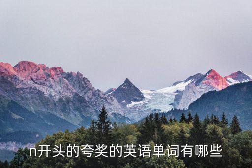 n開(kāi)頭的夸獎(jiǎng)的英語(yǔ)單詞有哪些