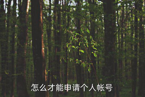 注冊個人帳號，如和申請個人帳號