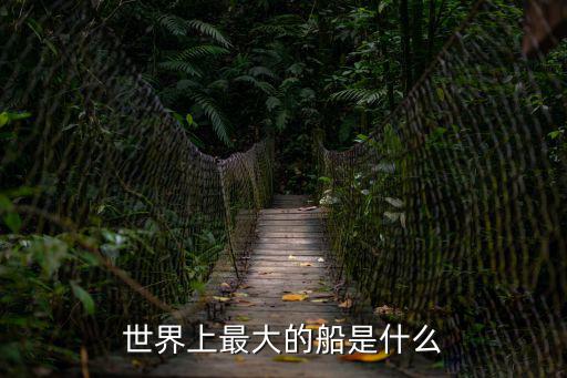 最大的船，世界上最大的船