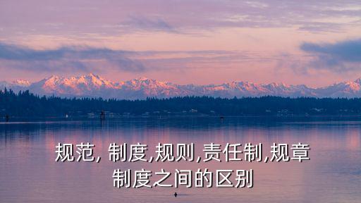  規范, 制度,規則,責任制,規章 制度之間的區別