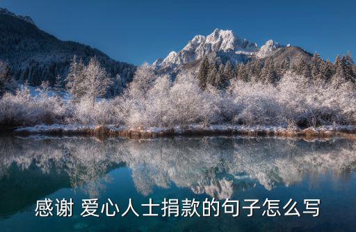 愛心捐助,謝謝你愛心捐助我們會繼續(xù)傳遞愛心