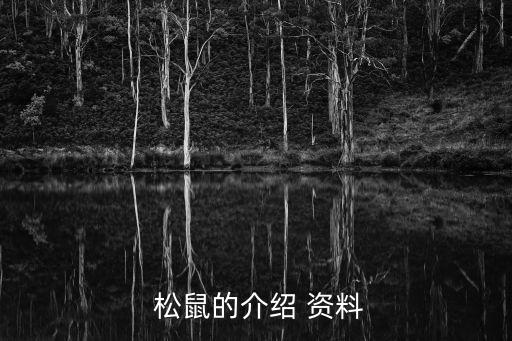  松鼠的介紹 資料