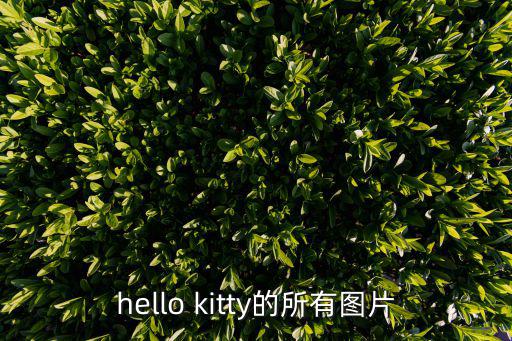 kitty貓圖片，hello kitty的所有圖片