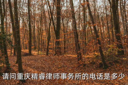 請問重慶精睿律師事務所的電話是多少