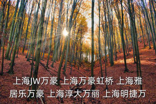 上海JW萬豪 上海萬豪虹橋 上海雅居樂萬豪 上海淳大萬麗 上海明捷萬