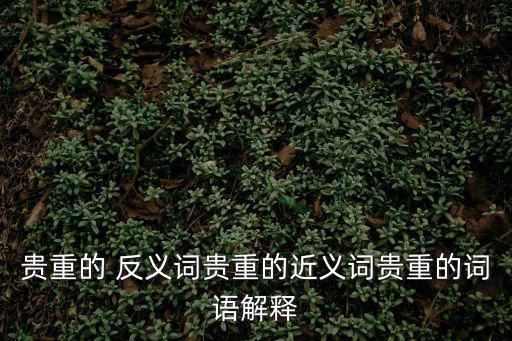 貴重的 反義詞貴重的近義詞貴重的詞語(yǔ)解釋