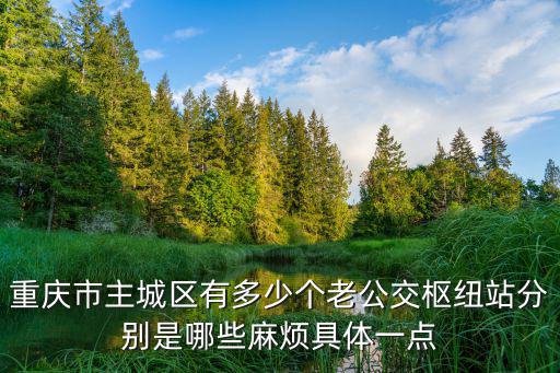 重慶市有哪些綜合交通樞紐，長江上游最大的綜合性工業基地和水陸交通樞紐是