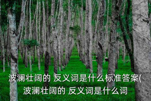 波瀾壯闊的 反義詞是什么標(biāo)準(zhǔn)答案(波瀾壯闊的 反義詞是什么詞