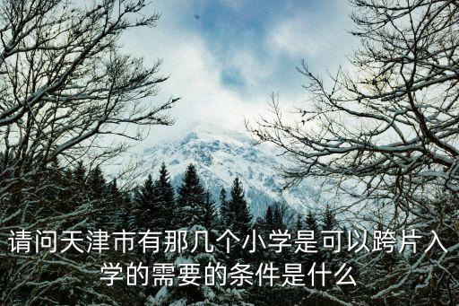 請問天津市有那幾個小學是可以跨片入學的需要的條件是什么