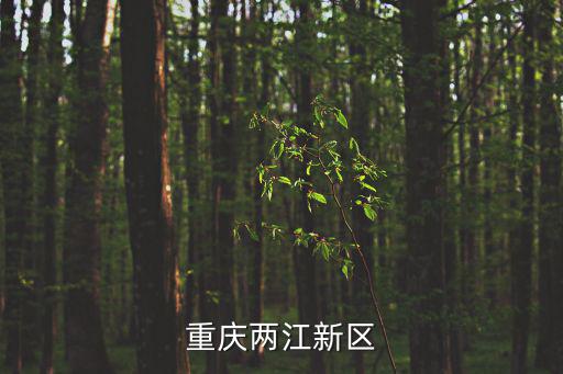重慶兩江新區(qū)