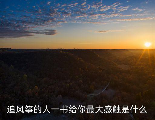 追風箏的人一書給你最大感觸是什么