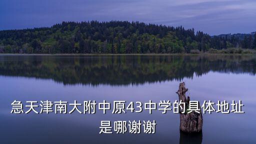 天津市南大附中辦公室，2011年天津南大附中的招生條件