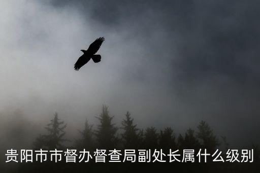 貴陽市市督辦督查局副處長屬什么級別