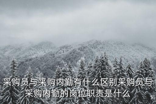 采購員與采購內(nèi)勤有什么區(qū)別采購員與采購內(nèi)勤的崗位職責(zé)是什么