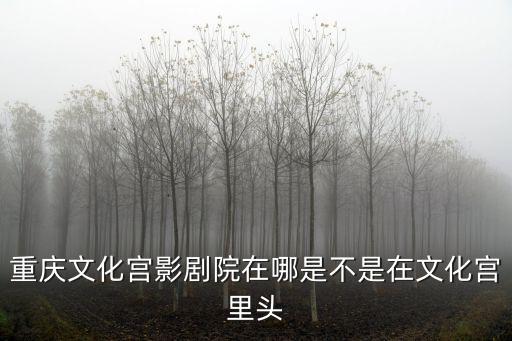 重慶文化宮影劇院在哪是不是在文化宮里頭