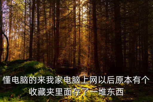 懂電腦的來我家電腦上網以后原本有個收藏夾里面存了一堆東西