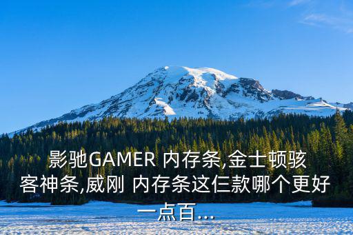影馳內存條怎么樣,比威剛便宜100元電腦配件選哪個牌子好?