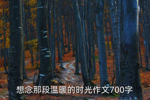 想念那段溫暖的時光作文700字