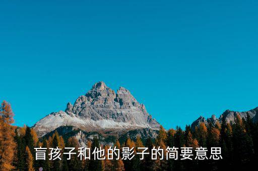 盲孩子和他的影子，盲孩子和他的影子影子指的是什么