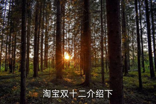 淘寶雙十二介紹下
