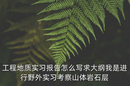 工程地質(zhì)實(shí)習(xí)報(bào)告怎么寫求大綱我是進(jìn)行野外實(shí)習(xí)考察山體巖石層